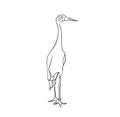 Vector illustration, isolated crane bird in black and white colors, outline hand painted drawing