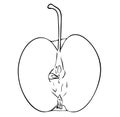 Half of an apple fruit with a tail in black and white colors, outline hand painted drawing Royalty Free Stock Photo