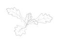 Vector illustration of small oak tree Royalty Free Stock Photo