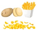 Vector illustration isolated on white background Potatoes Set of whole, slices, half, lobule, circle potatoes chips French fries