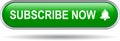 Subscribe now icon web button green Royalty Free Stock Photo