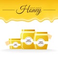 Vector illustration: jars of honey on white background