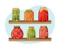 Vector illustration of jars of pickles on the shelves in the pantry. Preparations for the winter