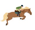 vector illustration of a jockey on a horse in a high jump. The theme of equestrian sports, training and animal husbandry. Royalty Free Stock Photo