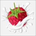 Vector illustration of a juicy raspberry with stem and a splash of milk, yogurt, cream