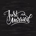 Vector illustration of just married text with background and textures for wedding. Handwritten modern calligraphy just married car