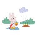 Vector illustration of kawaii rabbit in rubber boots harvesting carrots.