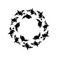 Vector illustration killer whales swimming in a circle. Marine animal round frame on white background