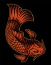 Vector illustration of koi carp on the dark background