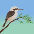 A vector illustration of a kookaburra