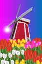 Vector illustration of a landscape with Dutch tulips and windmills. Royalty Free Stock Photo