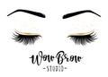 Vector illustration of lashes and brows Royalty Free Stock Photo