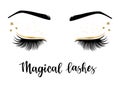 Vector illustration of lashes Royalty Free Stock Photo