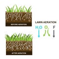 Vector illustration with lawn aeration Royalty Free Stock Photo