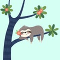 A lazy sloth sleeping on the tree