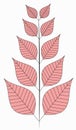 Vector illustration of leaves with stem pattern