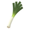 Vector illustration of leek