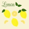 Vector illustration. Lemon collection in a flat style