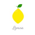 Lemon icon with title