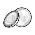 Vector illustration of lense and contact symbol. Web element of lense and optical vector icon for stock. Royalty Free Stock Photo