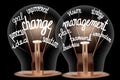 Light Bulbs with Change Management Concept Royalty Free Stock Photo