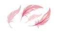 Pink Feathers Soft Vector Design, vector design Generative AI Royalty Free Stock Photo