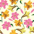 Vector illustration of lily flowersseamless pattern