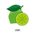 Vector illustration Lime, conveying juiciness and vibrant color. Ideal for fresh and lively designs