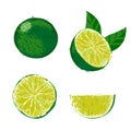 Vector illustration of a lime fruit.