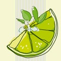 Vector illustration of a lime green slice with a flower on a background of gray cocktail tubes