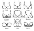 Female underwear different types set Royalty Free Stock Photo