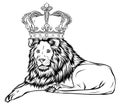 Vector illustration the lion king, the head of a lion in the crown, on a white background. Royalty Free Stock Photo