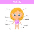 Little cute girl. Poster body parts for leaning anatomy for kids.