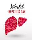 Vector illustration of a Liver and cell for World Hepatitis Day Royalty Free Stock Photo