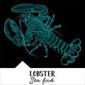 Vector illustration lobster for a seafood menu