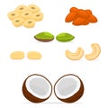 Vector illustration for ripe set nuts Royalty Free Stock Photo