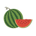 Vector illustration logo for whole ripe red fruit watermelon, green stem, cut half, sliced slice berry with red flesh Royalty Free Stock Photo