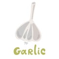 Vector illustration logo for whole ripe vegetable bitter white garlic. Fresh bitters garlics on health. Royalty Free Stock Photo