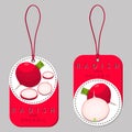 Vector illustration logo for whole ripe vegetable red radish