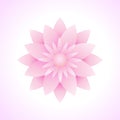 Vector illustration of lotus flower graphics seen from above. suitable for decoration design elements. soft pink color gradient