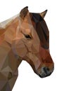 Vector illustration of low poly horse Royalty Free Stock Photo