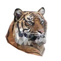 Vector illustration of low poly tiger. Royalty Free Stock Photo