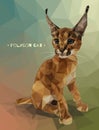 Vector illustration in low polygon style. Kitten caracal