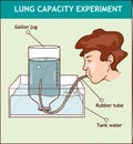 Vector illustration of a Lung Capacity Experiment Royalty Free Stock Photo