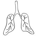 The lung of the patient. An air breathing organ with a capillary network is more prone to complications from COVID19 infection. 