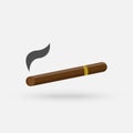 Vector illustration of a luxury Havana cigar with label. Cigar. An expensive cigar.Vector Simple modern icon design illustration Royalty Free Stock Photo