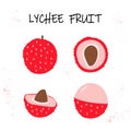 Vector illustration of lychee - tropical fruit. Royalty Free Stock Photo