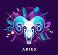 Aries zodiac sign