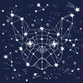 Magic zodiac linear polygonal dog in space among sketch hand drawn stars, animals constellation on dark sky, triangle face.