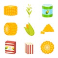 Vector design of maize and food logo. Collection of maize and crop vector icon for stock. Royalty Free Stock Photo